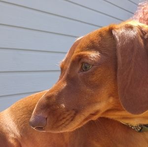 Meet your Posher, Tori